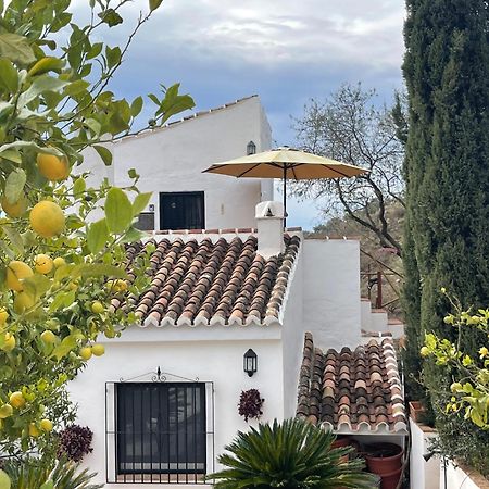 Canillas de Aceituno Casa Del Limon 아파트 외부 사진