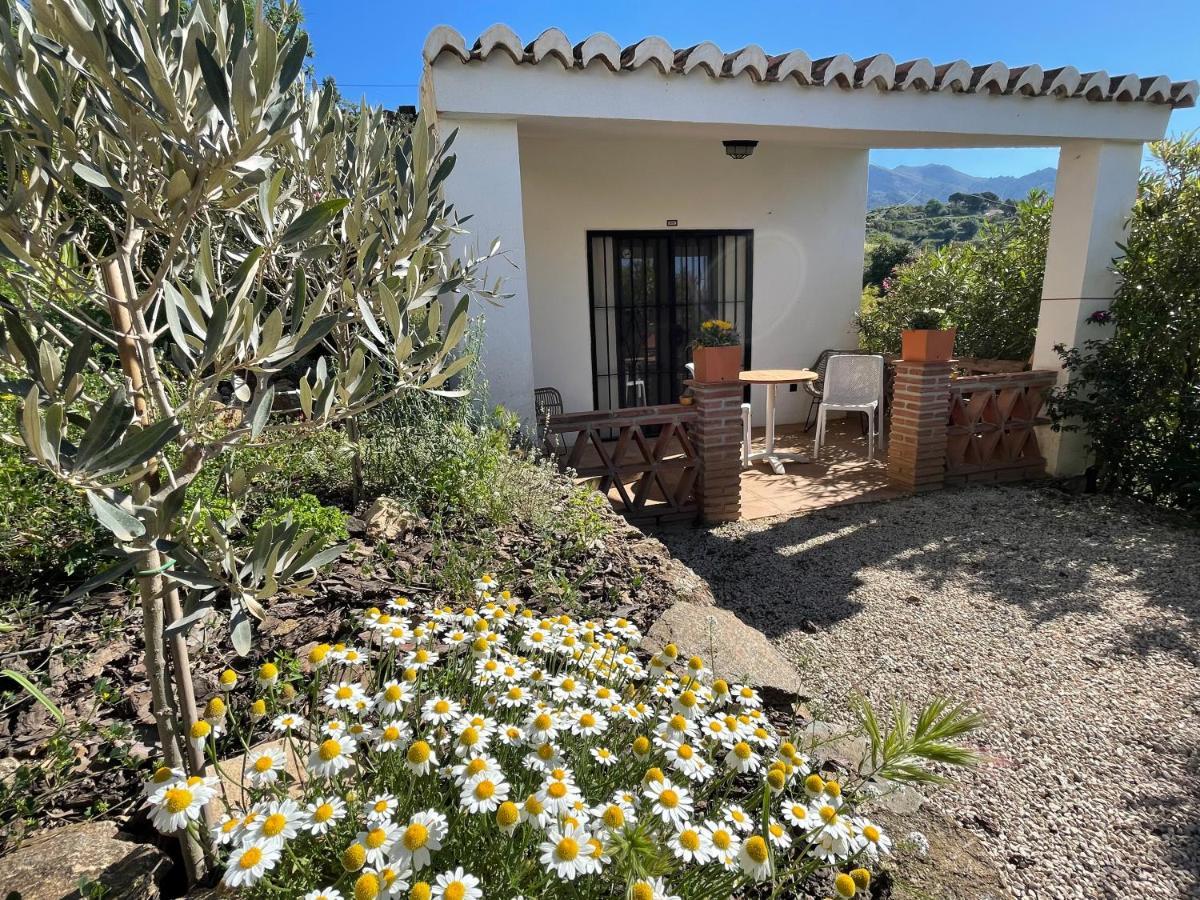 Canillas de Aceituno Casa Del Limon 아파트 외부 사진