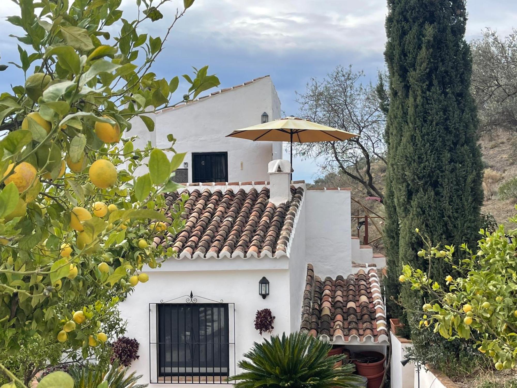 Canillas de Aceituno Casa Del Limon 아파트 외부 사진